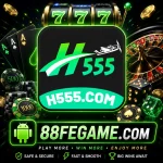 H555 Game