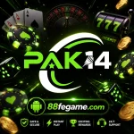 Pak14 Game