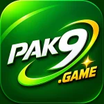 Pak9 Game